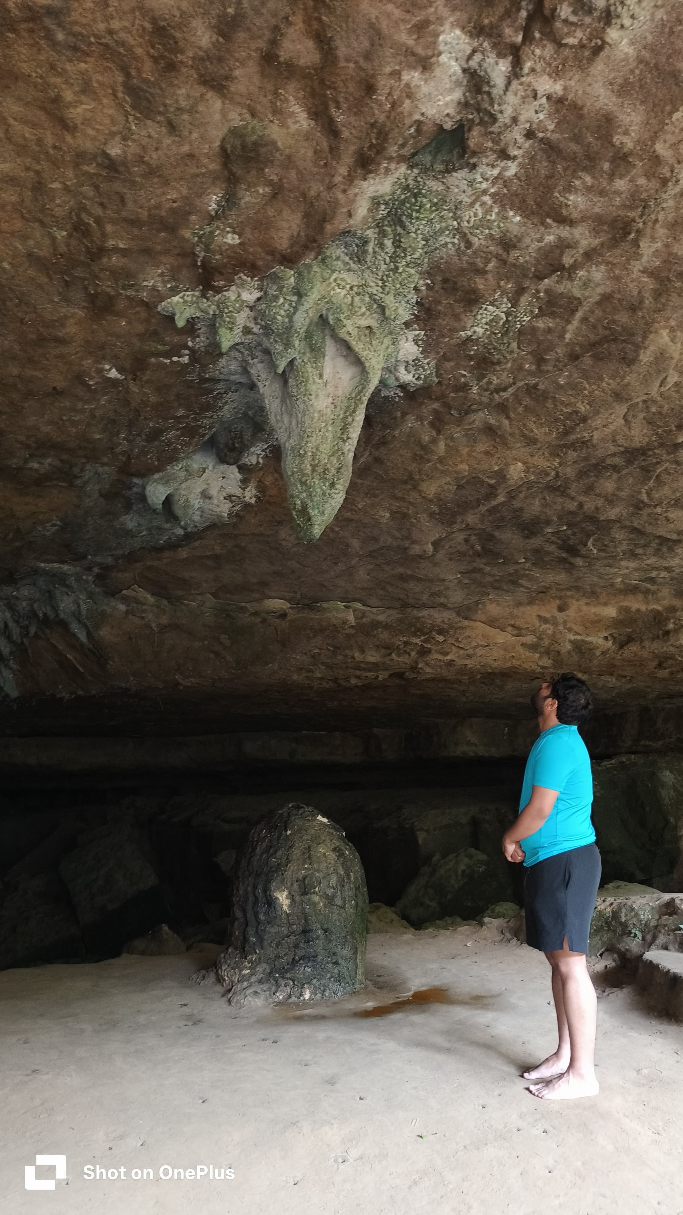 Meghalaya Cuisine & Best Time to Visit Meghalaya