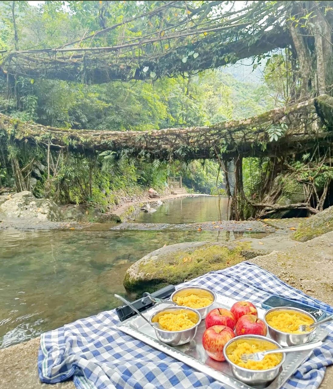 Double Decker Living Root Bridge Trek: The Journey Through Meghalaya’s Hidden Forest