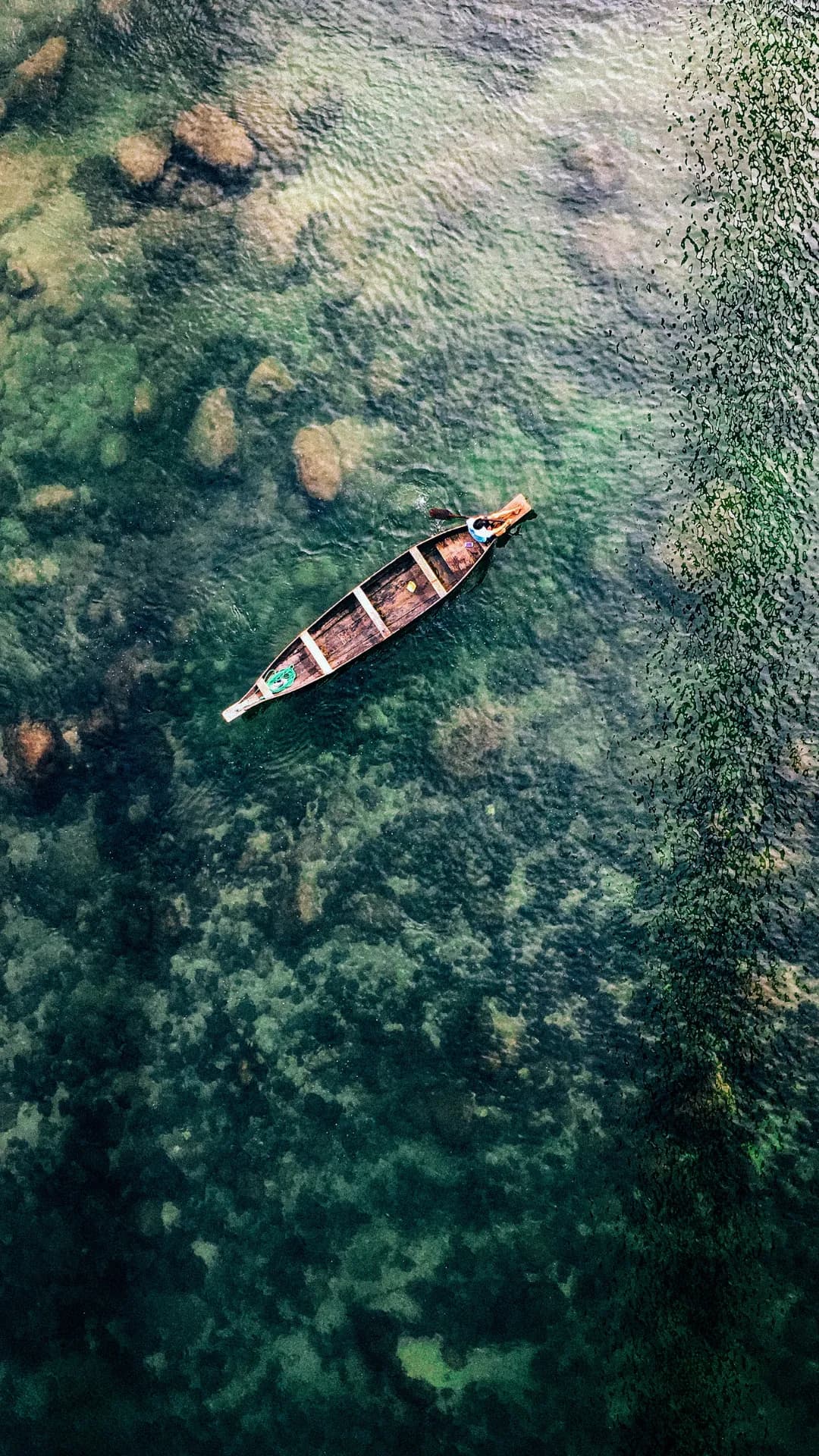 5. May to September — Monsoon Meghalaya