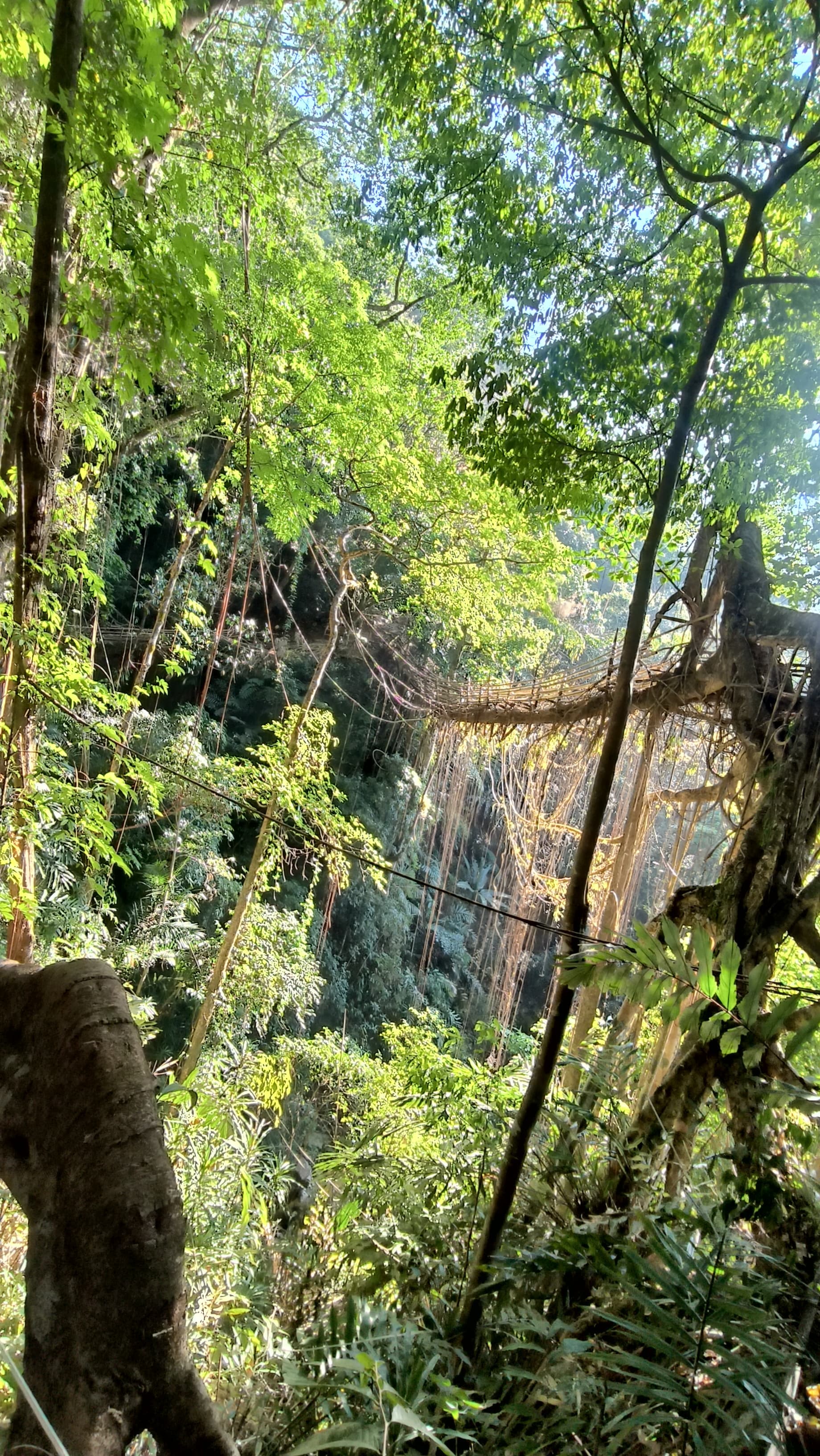 Final Thoughts: Meghalaya Unhurried