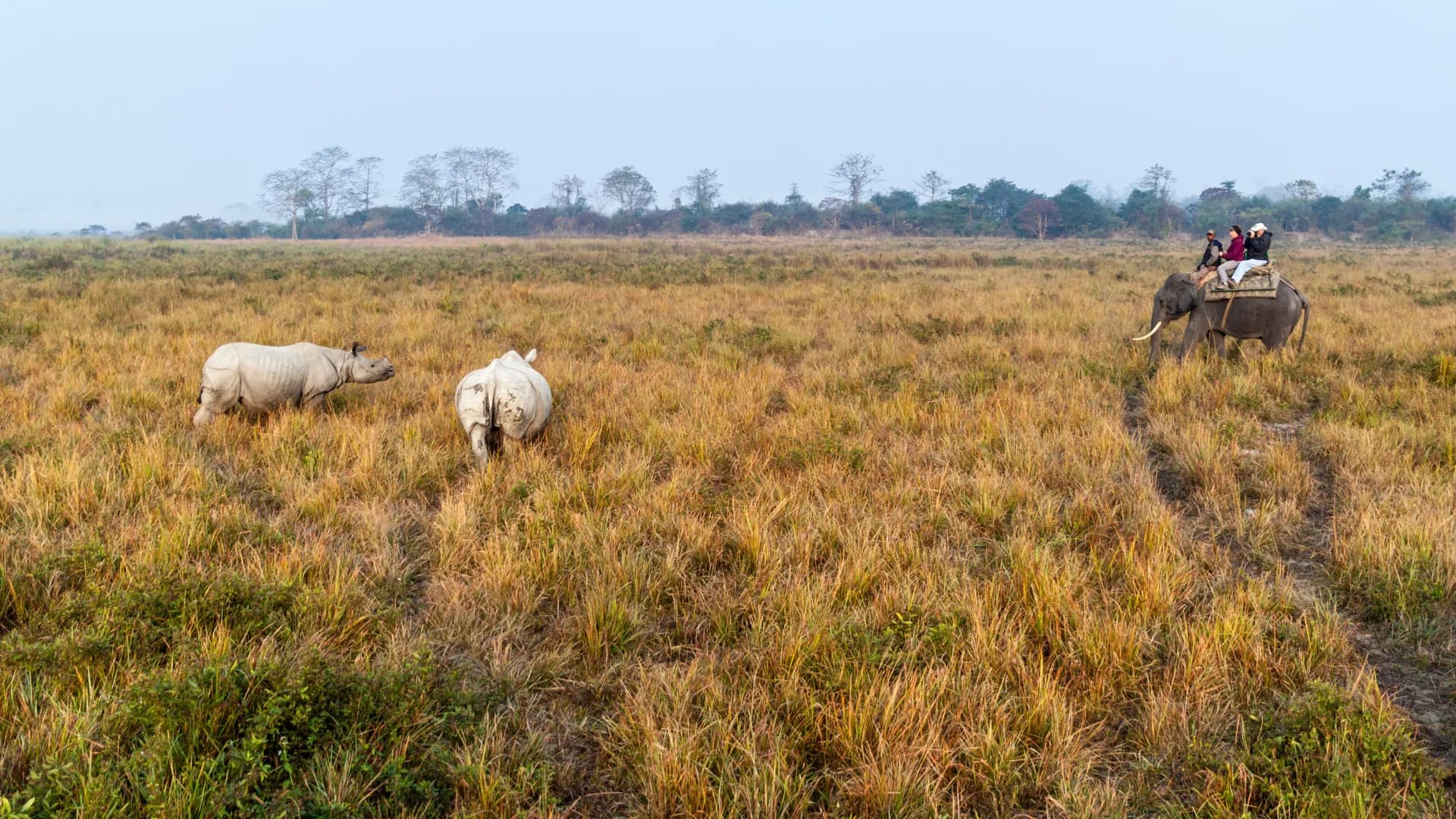 9 Nights 10 Days Assam Tour Package from Guwahati
