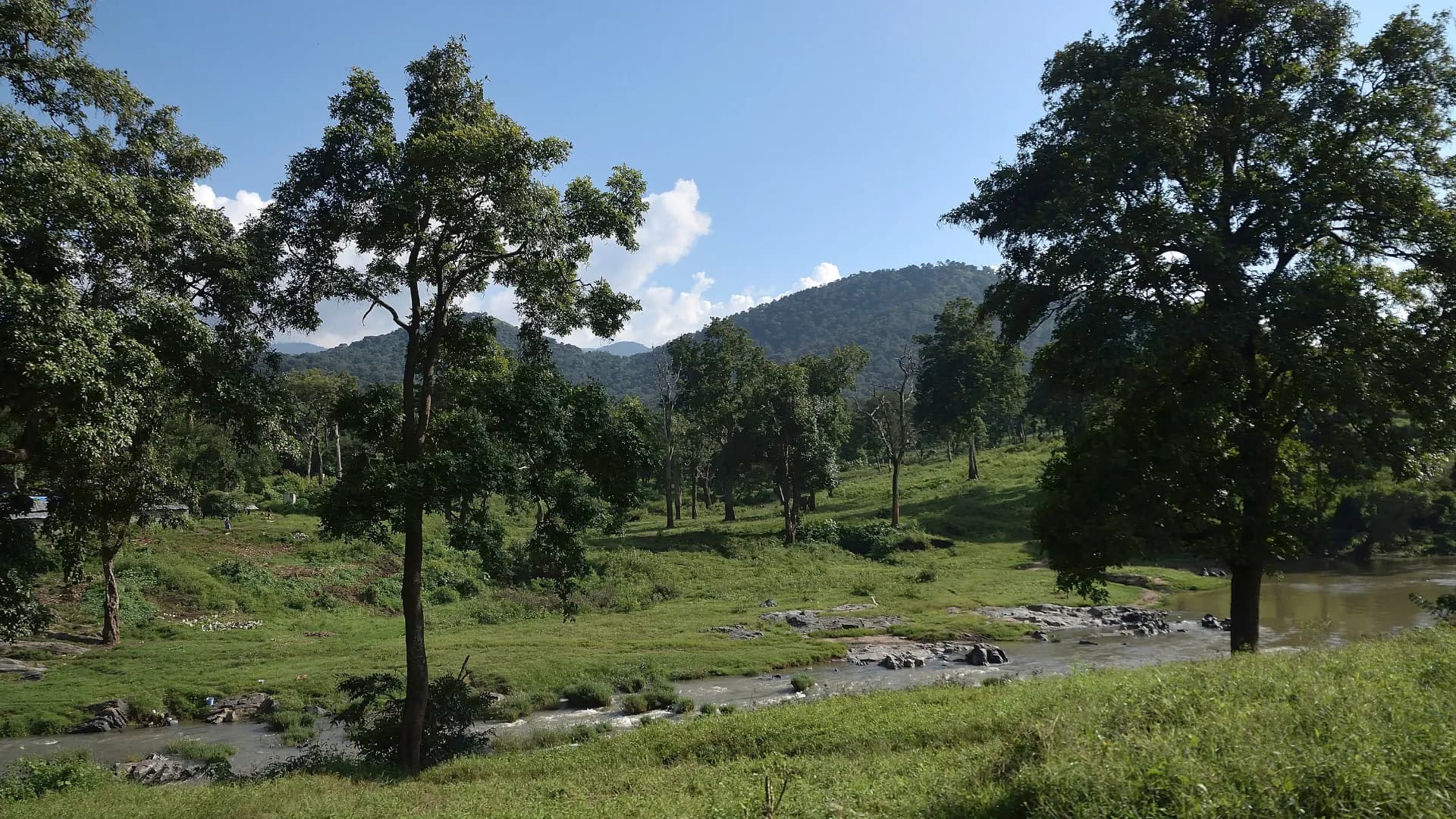 Best Time to Visit Kaziranga National Park in 2026