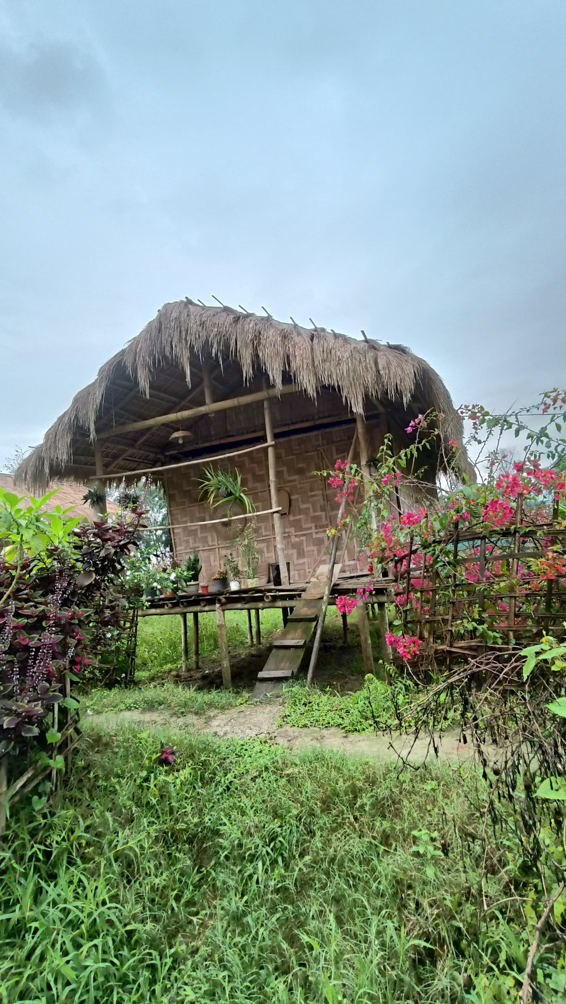 Plan Your Majuli Tour with NEexplore NOW