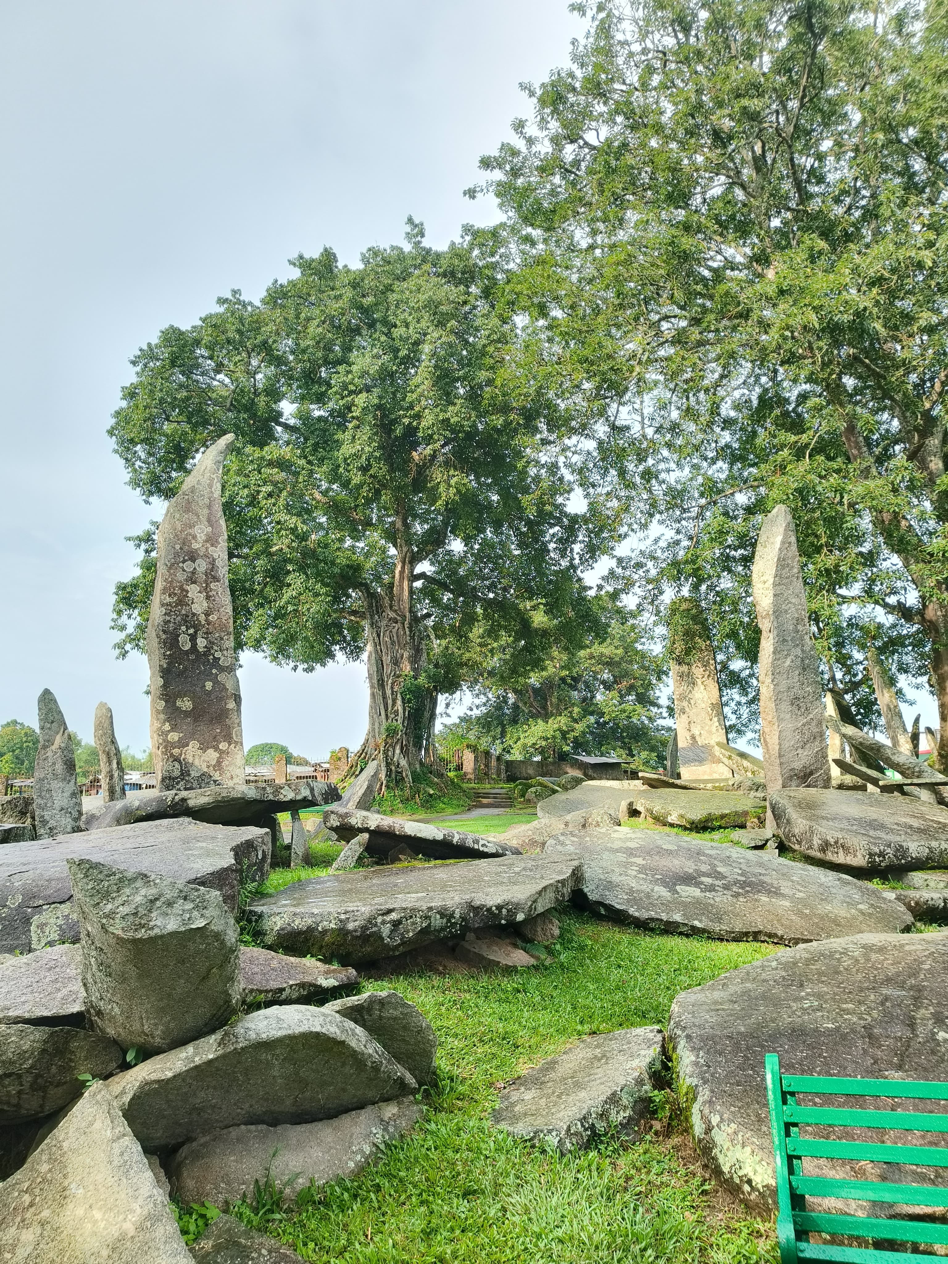 Start Planning Your Offbeat Meghalaya Adventure Today