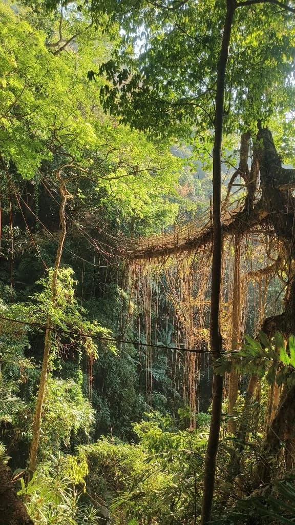 What is Hidden Meghalaya?