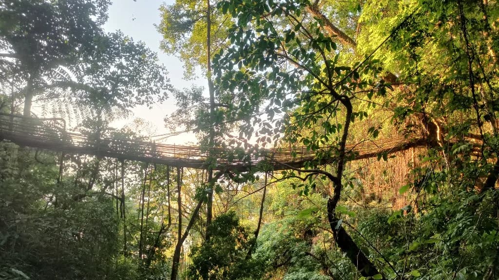 Why More Travellers Are Choosing Hidden Meghalaya