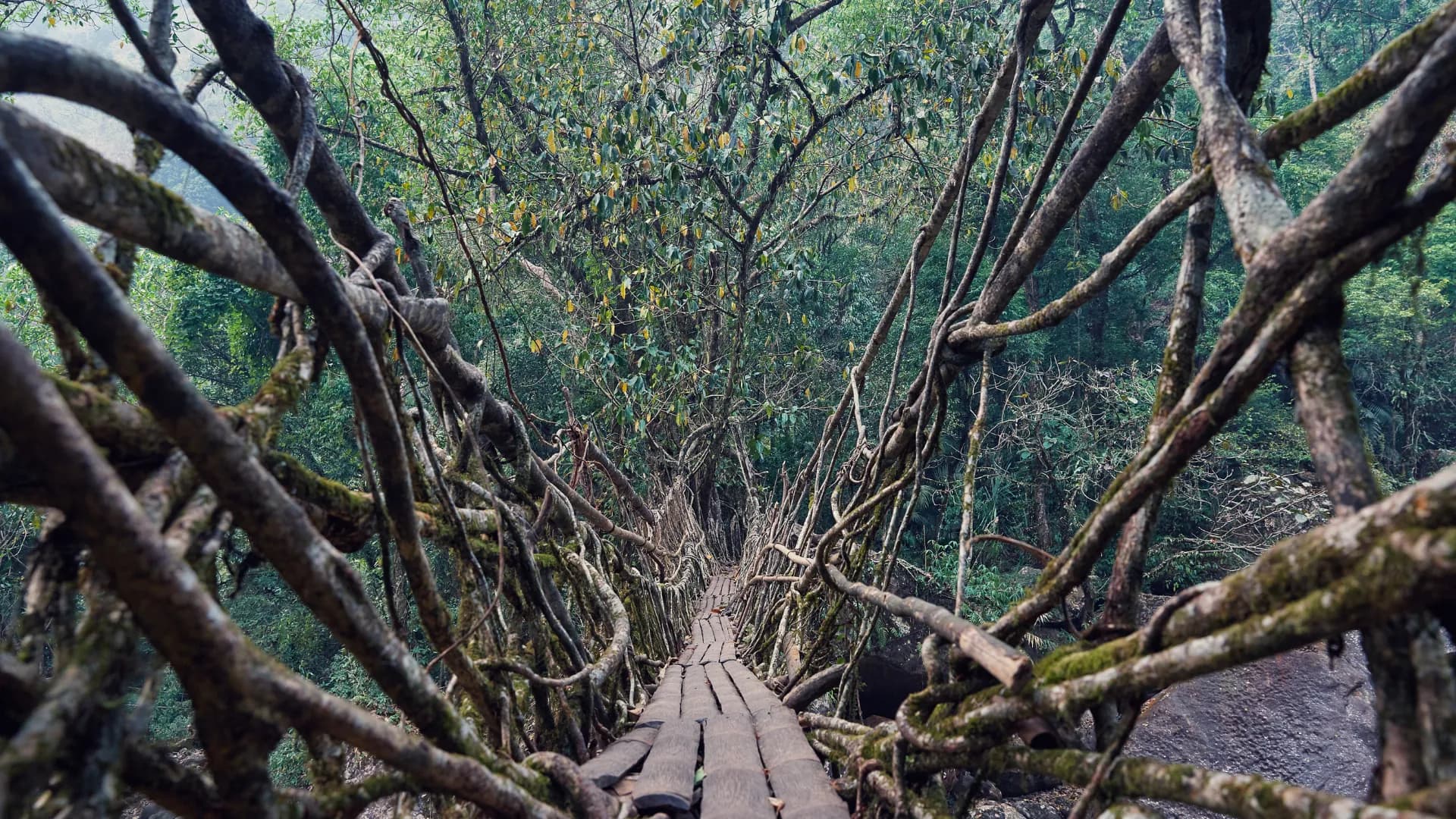 10-Day Deep Offbeat Meghalaya Itinerary (Including Garo Hills & Wari Chora)