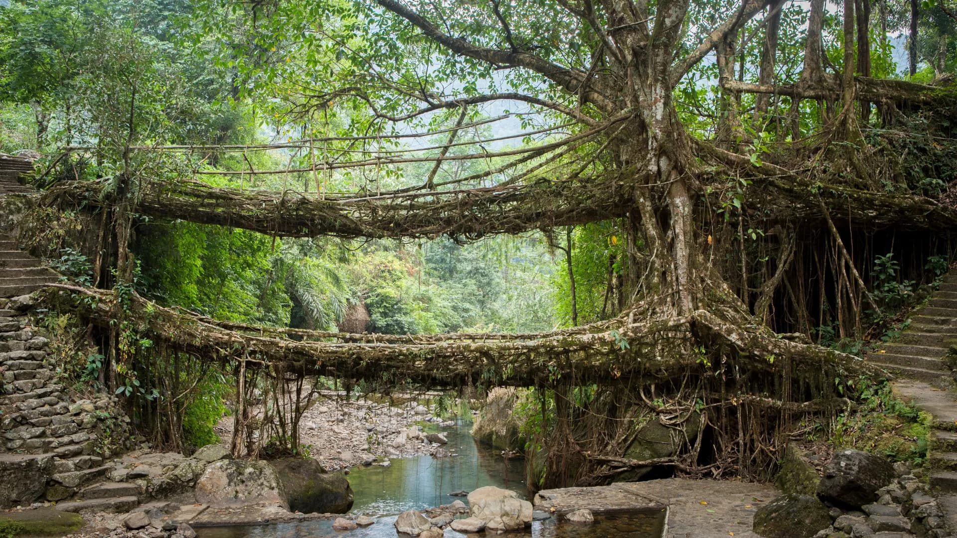 Meghalaya Tour Package from Guwahati (2 Nights / 3 Days)