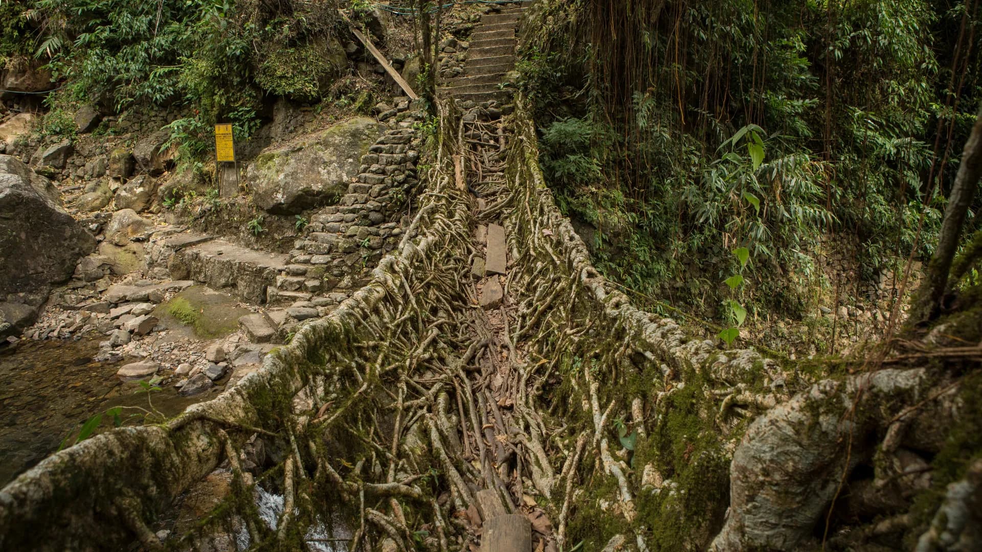 7 Nights 8 Days Ultimate Meghalaya Family Tour Package from Guwahati