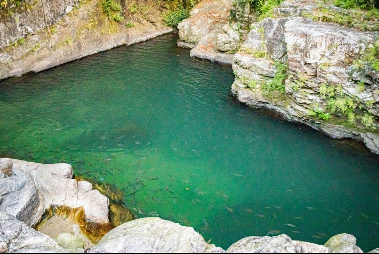 Why Wari Chora is Becoming One of Meghalaya's Most Popular Offbeat Destinations