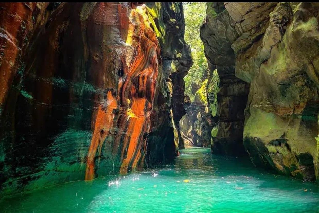 Forest Trek – Approximately One Hour Through Nature